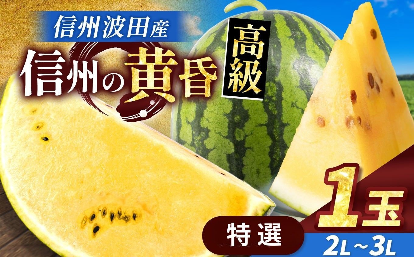 
            【先行受付：2026年7月発送】信州波田産 甘いスイカ！ 信州の黄昏 ( 金色羅皇 ) 【特選】 2L～3Lサイズ 1玉｜ふるさと納税 長野県 信州 松本 果物 フルーツ すいか スイカ 西瓜 大きい 特別 珍しい 黄色スイカ 贈答 季節限定 甘い くだもの ふるーつ
          