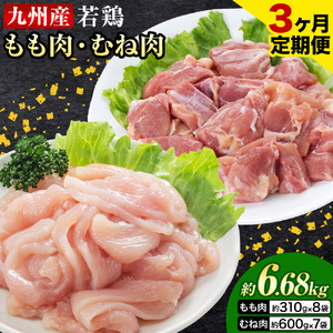 【3ヶ月定期便】 九州産若鶏もも肉（310g×8袋）・むね肉（600g×7袋）セット  鶏肉 お肉 モモ肉 もも肉 ムネ肉 むね肉 2種類 小分け 冷凍 九州産 国産 熊本県 菊池市 送料無料《お申し込みの翌月から出荷》