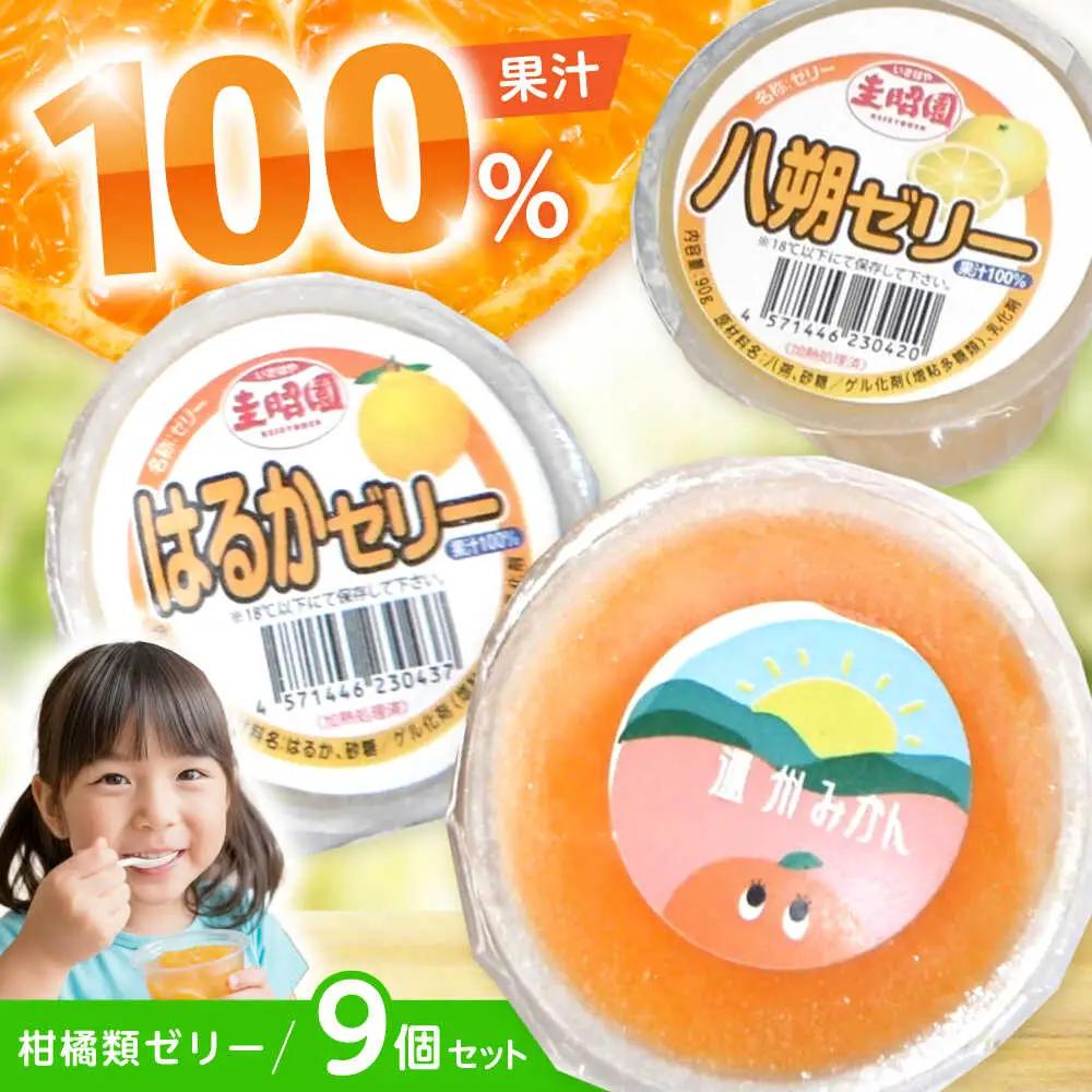 【1週間以内に発送】柑橘スムージーゼリー (3個×3種) 9個セット / ゼリー ぜりー 果汁ゼリー 柑橘 八朔 温州みかん はるか / 諫早市 / 圭昭園　 [AHAZ012]