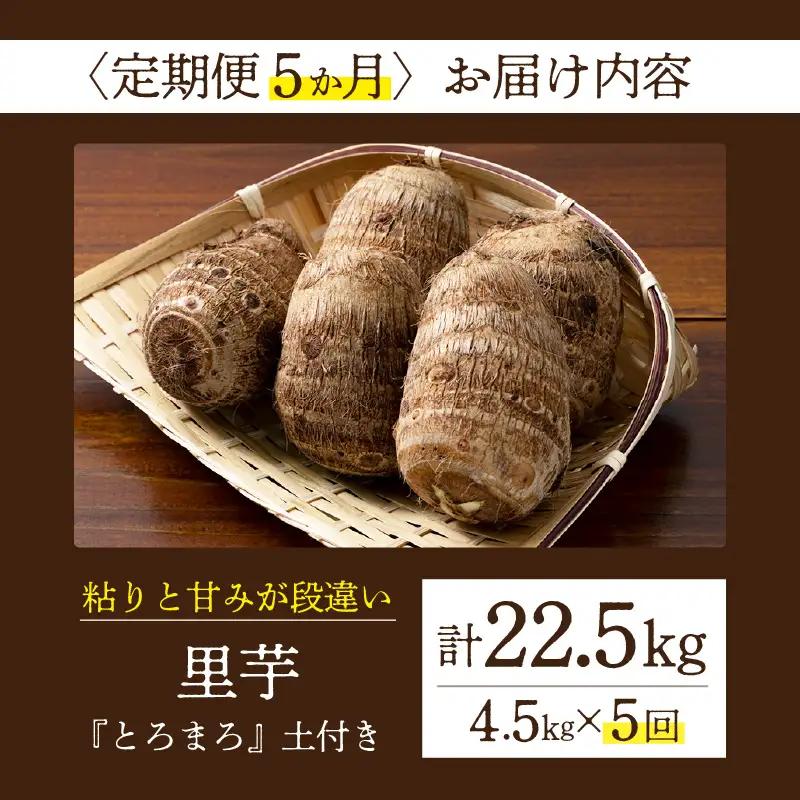 【定期便5ヶ月】里芋『とろまろ』土付き 4.5kg・H141