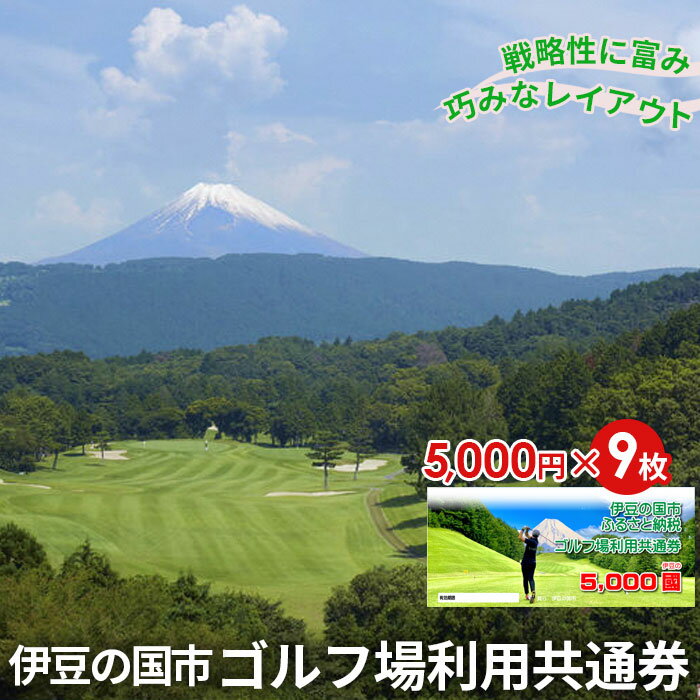 【ふるさと納税】 伊豆の国市ゴルフ場利用共通券（5000円×9枚） ／ 体験 ゴルフ場 チケット 送料無料 静岡県 220401-05