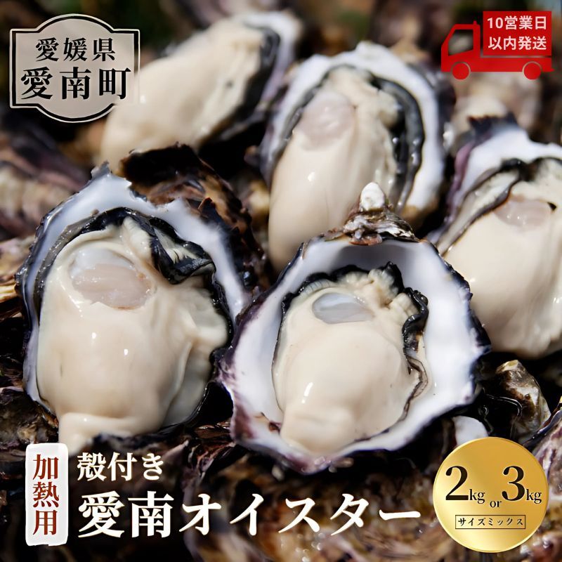 【ふるさと納税】 選べる内容量 愛南 オイスター 2kg 3kg 先行予約 2025年7月 上旬以降発送 牡蠣 加熱用 殻付き 三倍体 真牡蠣 ブランド 特産品 お取り寄せ グルメ 大粒 新鮮 ご褒美 かき パスタ アヒージョ まがき 夏 産地 直送 愛南漁業協同組合 御荘支所 愛媛県 愛南町