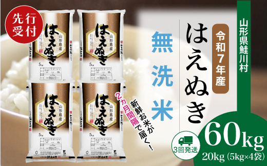 ＜令和7年産米先行受付＞ 山形県産 はえぬき 【無洗米】60kg定期便(20kg×3回)　配送時期指定できます！