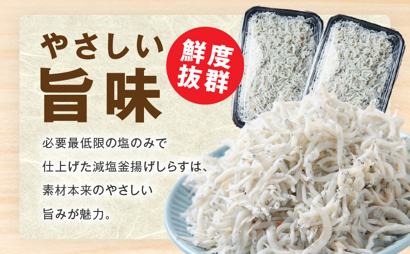 釜揚げしらす＆ちりめん山椒セット 計600g【小分け ちりめん シラス しらす sirasu 海鮮 セット 人気 おすすめ 産地直送】 G3796