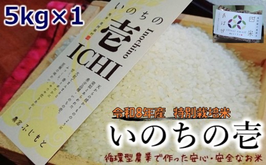 【数量限定！農家から直接お届け】令和8年産特別栽培米 いのちの壱(白米)5kg×1