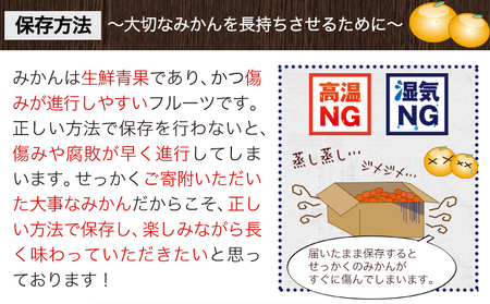 温州みかん 約5kg 日本フルーツ株式会社 ミカン