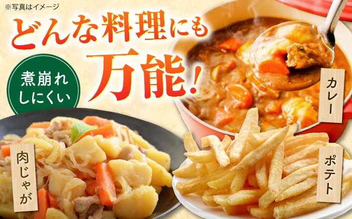 デジマ じゃがいも ジャガイモ 春作 新じゃが 長崎 国産 野菜 旬 家庭用 長崎 雲仙 南串山