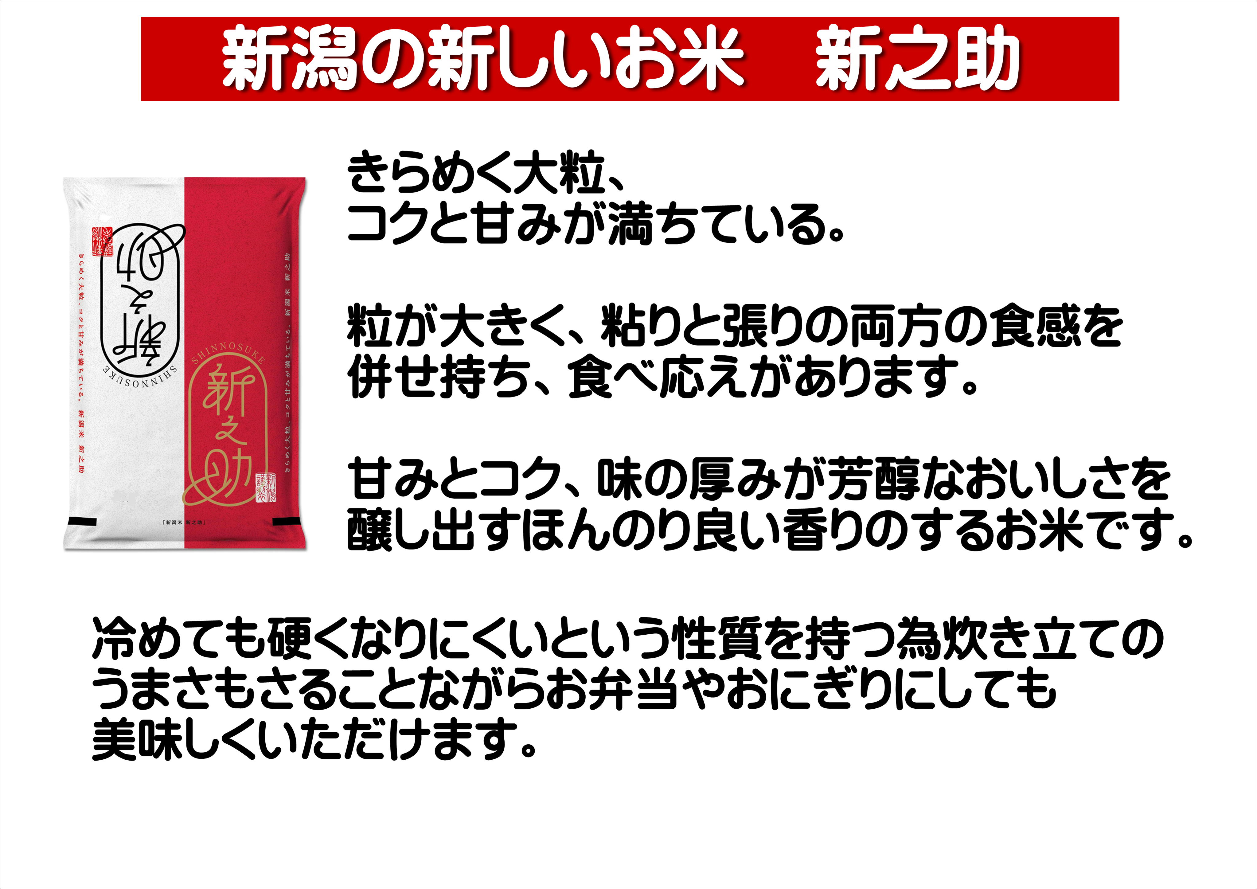 【令和8年産新米予約】【12ヶ月定期便】 新之助 5kg×12回 計60kg  11月上旬より順次発送予定 1I22121