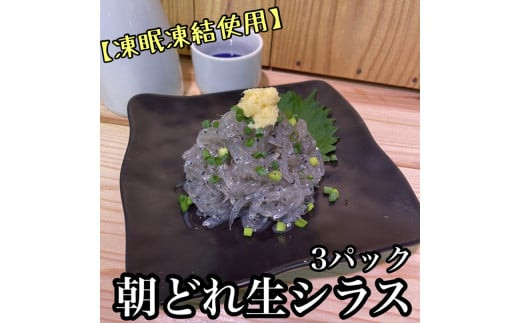 超鮮度！朝どれ 生しらす 小 3パック【凍眠凍結使用】【 惣菜 お刺身 生食 日本酒 焼酎 お取り寄せ 希少部位 御中元 お中元 お歳暮 父の日 母の日 贈り物 】【家庭用 自宅用 贈答品 贈答用 ギフト 神奈川県 小田原市 】 142069_DQ004