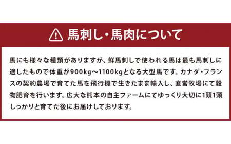 馬刺し赤身・タタキ・ユッケセット 合計290g 馬刺し 馬刺 馬肉 詰め合わせ  食べ比べ お取り寄せ 冷凍 ブロック ブロック肉 セット 赤身 ユッケ タタキ