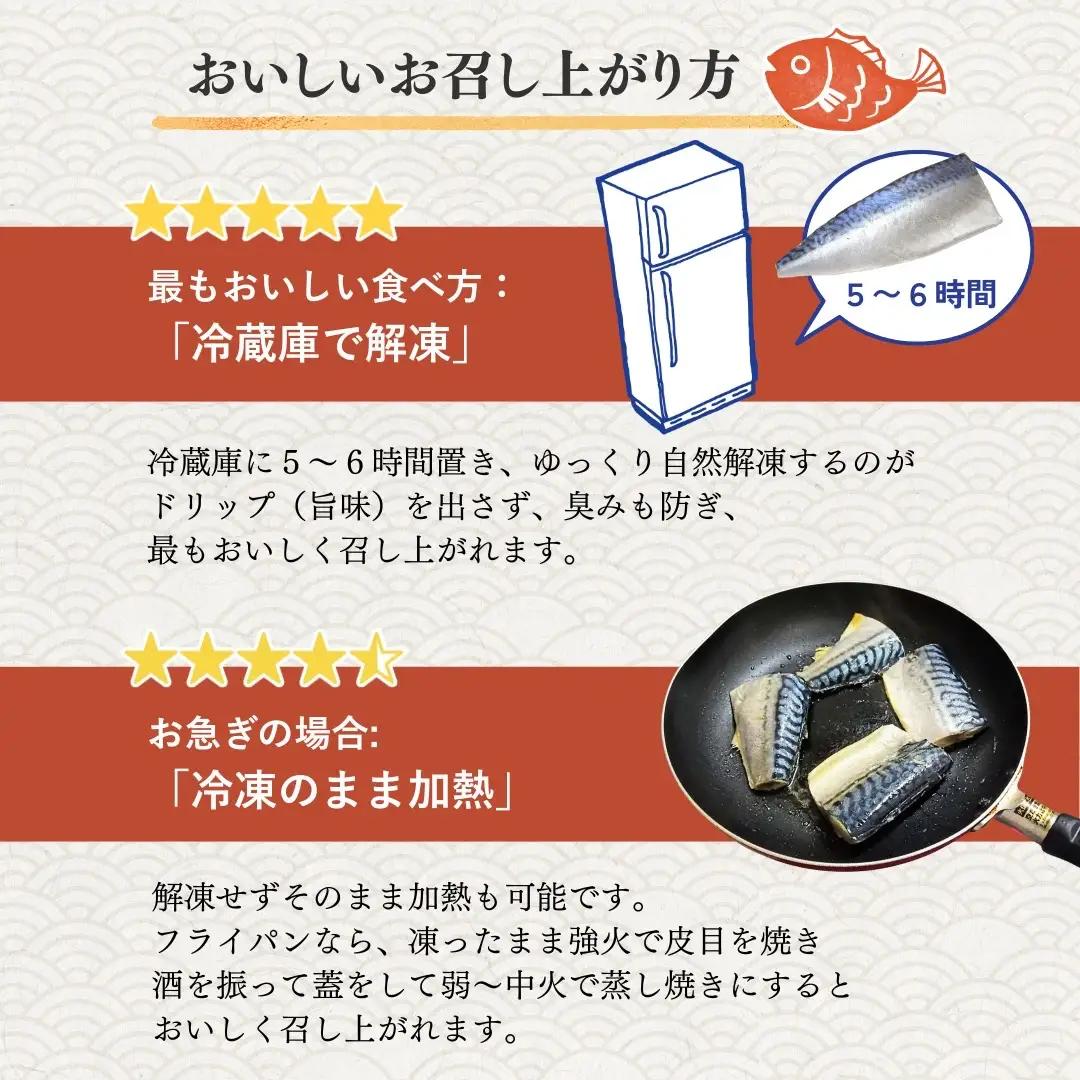 【訳あり】 三陸産 骨取り 塩サバ フィレ 半身 約1kg（4～7枚入り） 冷凍 国産 岩手県産 塩さば 塩鯖 訳アリ わけあり 骨なし 骨取り済み 骨取り魚 切り身 切身 海鮮 魚介 家庭用 レシピ