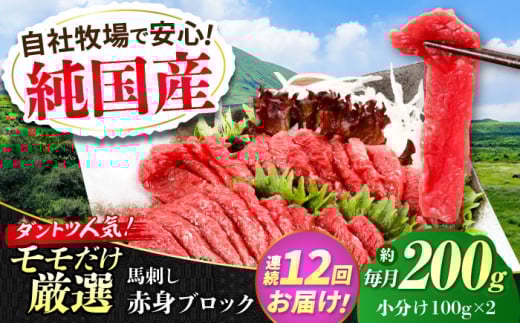 【全12回定期便】『純国産』熊本の味 赤身 馬刺し 約200g ブロック 冷凍 タレ付き【有限会社 九州食肉産業】 [AYCN111]