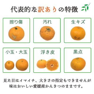ふるさと納税 八幡浜市 【発送月固定定期便】愛媛の高級柑橘3品種!まどんな・甘平・せとか【訳あり】【H25-199】全3回 |  | 03
