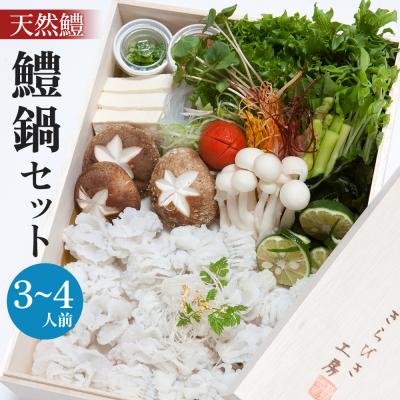 ふるさと納税 徳島市 天然鱧 鱧鍋セット(3〜4人前)【AQ007】