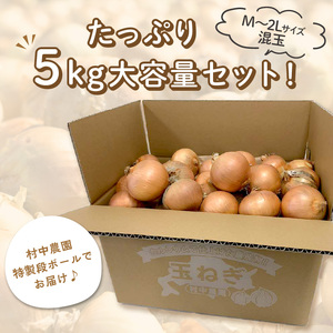 【予約：2024年9月中旬から順次発送】農家直送 村中さんちの玉ねぎ 5kg混玉 M～2Lサイズ ( タマネギ たまねぎ 玉葱 野菜 北海道産 詰合せ )【095-0020】