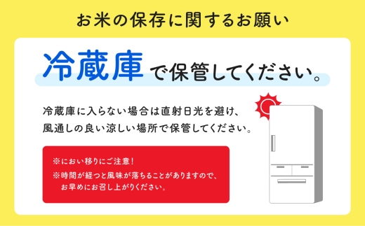 《新米先行予約》【毎月届く】令和8年産 秋田県産あきたこまち 玄米 定期便3回 10kg×3回 計30kg 秋田のこまち農場 潟上市