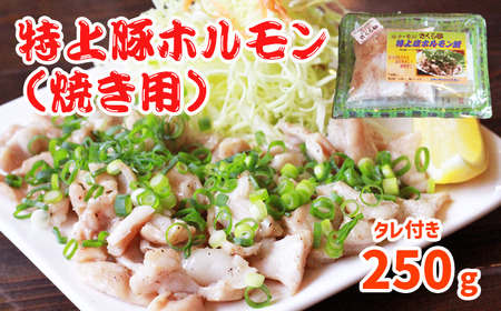 特上塩ホルモン焼 焼き用250g タレ付き【さくら亭】/ ホルモン鍋 豚肉 ホルモン