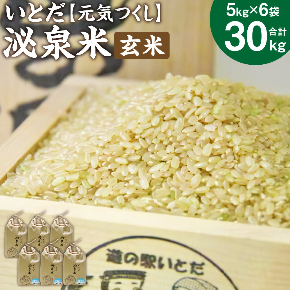 【ふるさと納税】【令和7年産】いとだ泌泉米 玄米 30kg (5kg×6袋) 元気つくし ご飯 お米 福岡県 糸田町産 送料無料