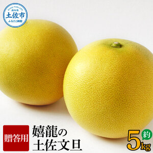 【先行予約】嬉龍の土佐文旦　贈答用　2～3Ｌサイズ　約5kg〈2027年1月中旬〜発送〉【嬉龍】[BQAY003]