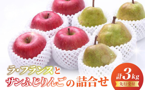 《先行受付》ラフランスとサンふじりんご詰合せ3kg【2026年11月頃より発送予定】 060-018