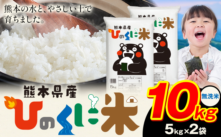無洗米 ひのくに米 10kg 《7-14日以内に出荷予定(土日祝除く)》 食品 米 こめ コメ 熊本県産 ふるさと納税 お米 おこめ 熊本---ubuyama_lcl_971_10kg---