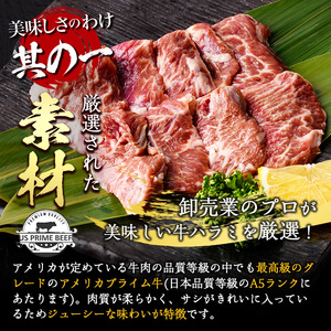 プライム牛 塩ハラミ(計600g) 小分け 牛肉 肉 ハラミ 牛はらみ 味付け 焼肉 塩 BBQ 冷凍 大分県 佐伯市【DH296】【(株)ネクサ】