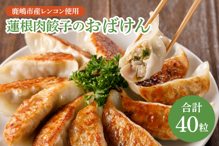【お試しサイズ】 蓮根肉餃子のおばけん 餃子 40粒 れんこん 野菜 ギョーザ 蓮根肉餃子
