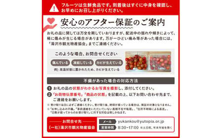 三関産 さくらんぼ 紅秀峰 500g (250g×2) 2L以上 さくらんぼ 秋田県産 小分け さくらんぼ 佐藤錦 さくらんぼ バラ詰め さくらんぼ フルーツ さくらんぼ[B5-14602]