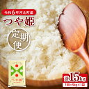 【ふるさと納税】【令和6年産 米 定期便】特別栽培米 つや姫 計 15kg（ 5kg × 3回 ）毎月 隔月 発送時期が選べる 山形県産 【JAさがえ西村山】つやひめ 15キロ 3ヶ月 2024年産 新米 先行予約 白米 精米 こめ ごはん ご飯 弁当 お取り寄せ 送料無料 山形県 河北町