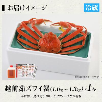 ふるさと納税 福井市 【12/2〜順次発送】福井の老舗カニ料理店「茹で越前がにズワイ蟹」大大1杯(1.1〜1.3kg) |  | 03