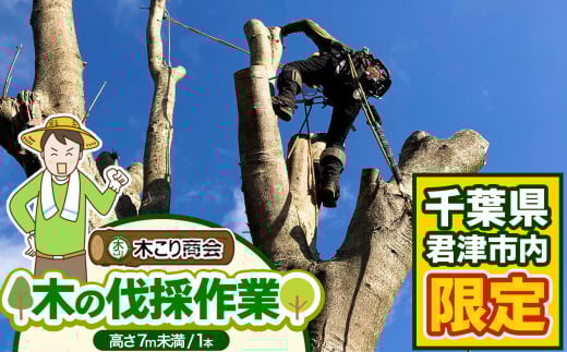 
            君津市 木の伐採作業（高さ７m未満１本） 木こり商会 | サービス サービス券 伐採 伐採作業 代行サービス 千葉県 君津市 きみつ
          