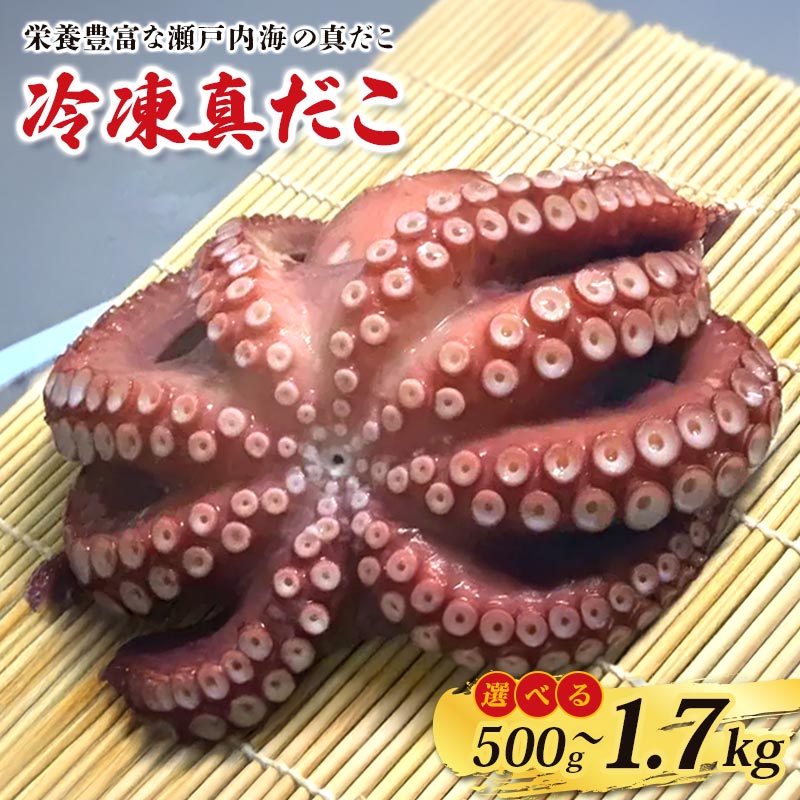 【ふるさと納税】 瀬戸内海産 冷凍マダコ 約500g～1.7kg 蛸 たこ 活たこ 真だこ 刺身 素潜り 冷凍 クール 海鮮 お刺身 瀬戸内 漁師 素潜り 解凍 たこ焼き タコヤキ 500g 800g 1kg 1.3kg 1.5kg 1.7kg ボイル 生 チルド 真蛸 蛸 タコ 蒸したこ お取り寄せ 海産物 お取り