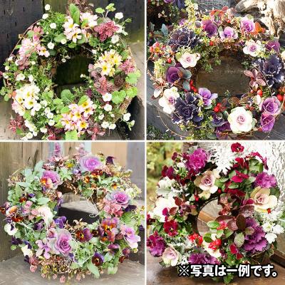 ふるさと納税 板倉町 ハンギングリース　季節のアレンジ (暖色系) 直径約40cm|13_ymn-010101 |  | 03