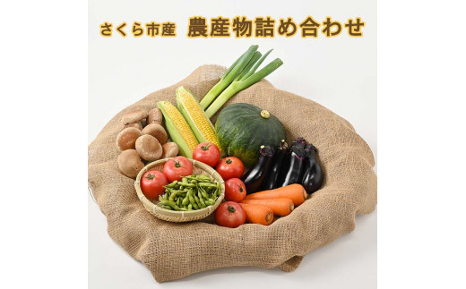 
さくら市産の農産物詰め合わせ≪野菜 新鮮 国産 栃木県≫
