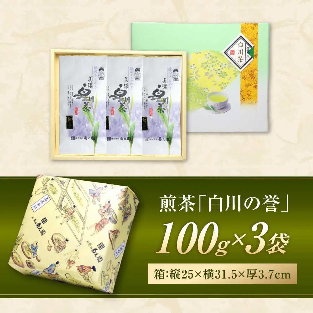 新茶 煎茶セット 300g 化粧箱入り / 菊之園[AWAG008]煎茶新茶