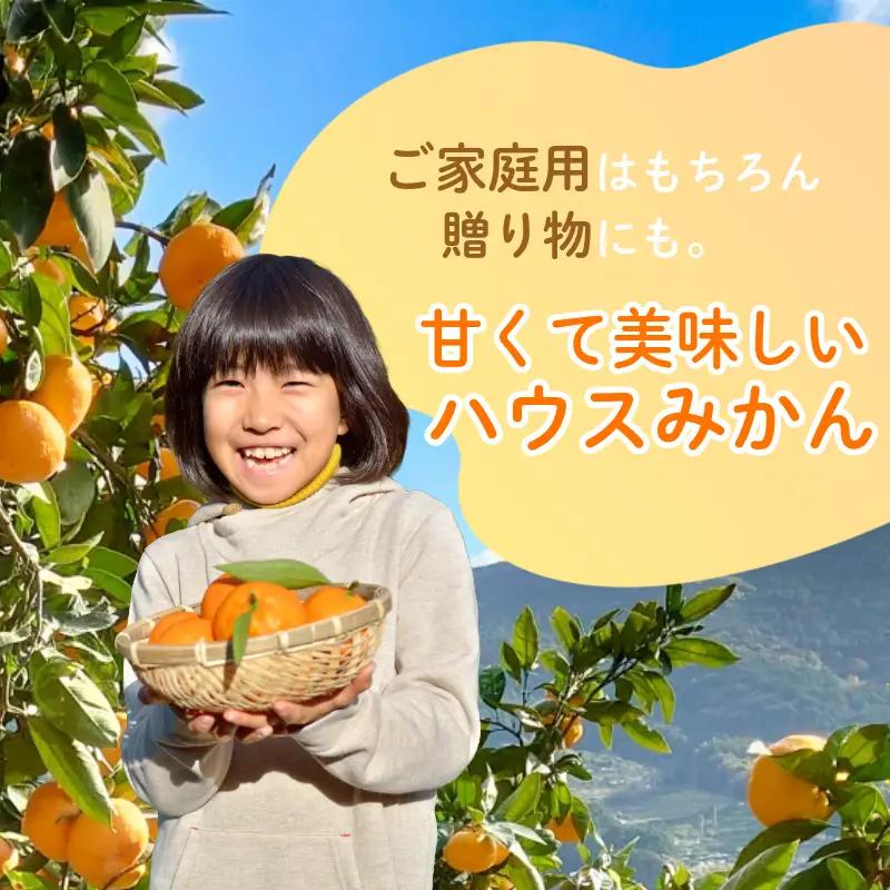 みかん ハウスみかん 2.7kg 傷み補償付き200g みかん 柑橘 フルーツ 果物 みかん ミカン みかん 蜜柑 オレンジ 徳島県 阿南市