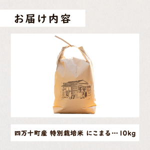 【にこまる】【数量限定】四万十清流育ち!つや甘み際立つ 10kg／ Fnp-06