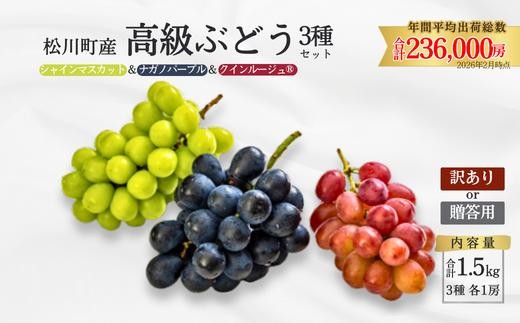 ぶどう3種セット プレミアムスリー（クイーンルージュ🄬／シャインマスカット／ナガノパープル）約1.5kg／2026年9月中旬頃～9月下旬配送予定［TK05］//3種セット 長野県 南信州 種なし 皮ごと 食べ比べ 詰め合わせ 贈答 ギフト 新鮮 希少