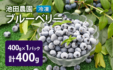 冷凍 ブルーベリー 400g (400g×1パック) 北海道産 フルーツ 果物