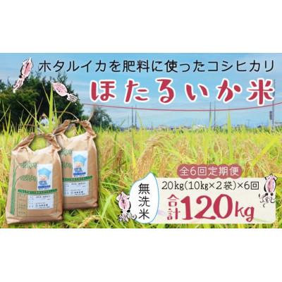 ふるさと納税 滑川市 【毎月定期便】ほたるいか米　無洗米　20kg(10kg×2袋)全6回