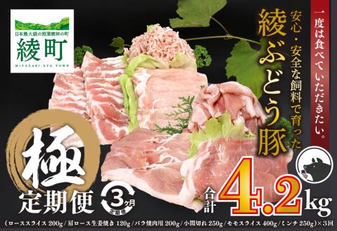 国産 豚肉 ブランド 豚 綾ぶどう豚 よりどり 詰め合わせ 3か月 定期便 セット ロース スライス 生姜焼き バラ 焼肉 小間切れ モモ スライス ミンチ しゃぶしゃぶ（22-36）