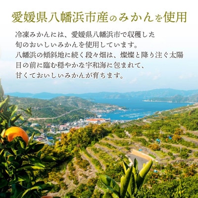 【愛媛産】シロップ・化学薬品不使用!外皮なし むき冷凍みかん1kg【C25−104】【配送不可地域：離島】【1412360】