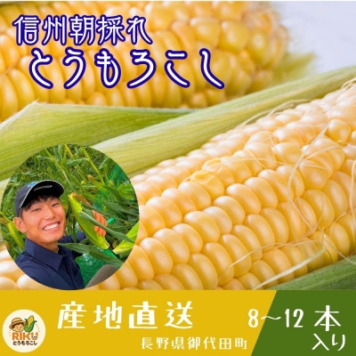 
                  長野県浅間山麓　朝採れとうもろこし　約4kg～5kg(約8本～12本入り)【1754258】
                