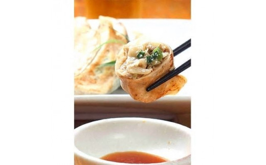 結崎ネブカを中心とした大和野菜たっぷり餃子（計60個）
