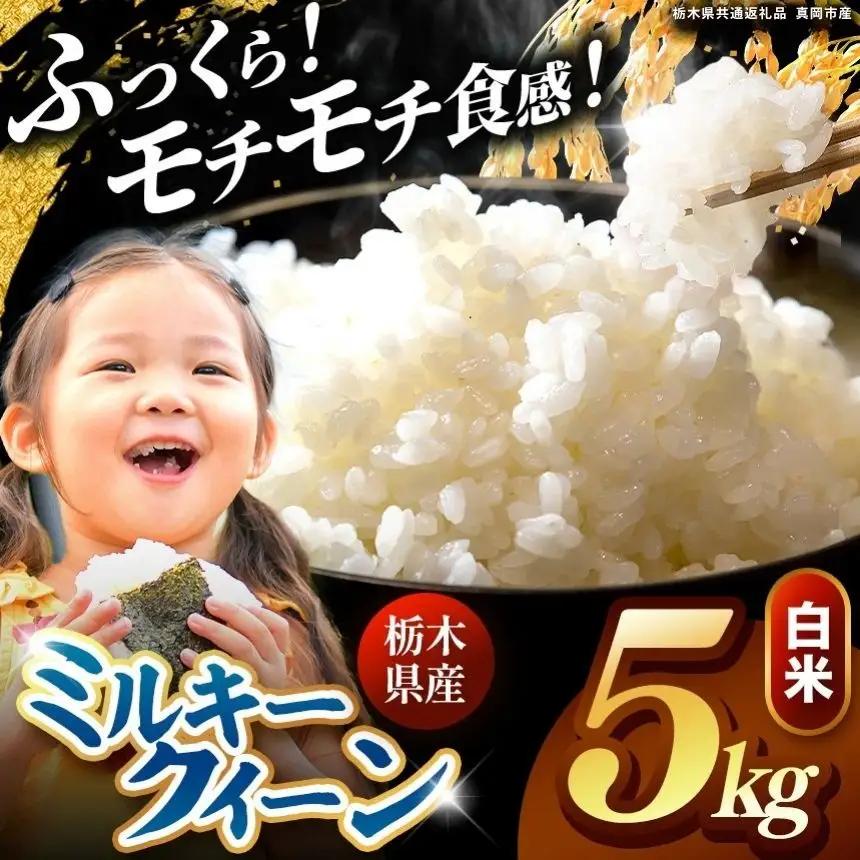 栃木県産 ミルキークイーン 白米 5kg 2026年  新米 | 栃木県 矢板市