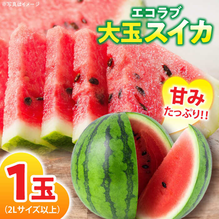 【ふるさと納税】スイカ【先行予約】【6月上旬より順次発送】エコラブスイカ（2Lサイズ以上）1玉 大洲市/沢井青果有限会社[AGBN009] スイカ すいか 西瓜 くだもの 果物 フルーツ デザート 野菜 やさい 新鮮 愛媛県産 大洲市産 産地直送 おすすめ 人気 お取り寄せ 送料無料