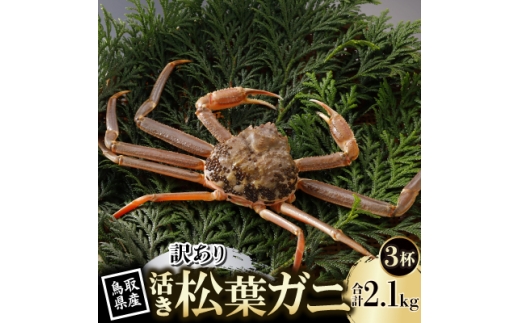 ＜先行予約＞鳥取県産 訳あり 活 松葉がに 700g×3杯(中村商店)2026年11月発送【1653966】