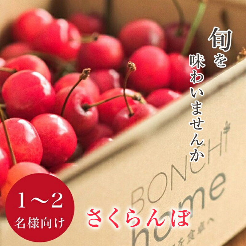 【ふるさと納税】 1.4-1-8 ＜先行予約2024年＞山梨県産 たっぷりバラ詰めさくらんぼ 400g　 M,Lサイズ ふるさと納税 おすすめ 山梨県 南アルプス市 送料無料 ALPAL021