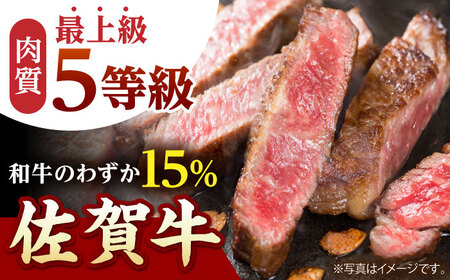 【全6回定期便】佐賀牛 A5 サーロインステーキ（300g×2枚） HAD067 ステーキ