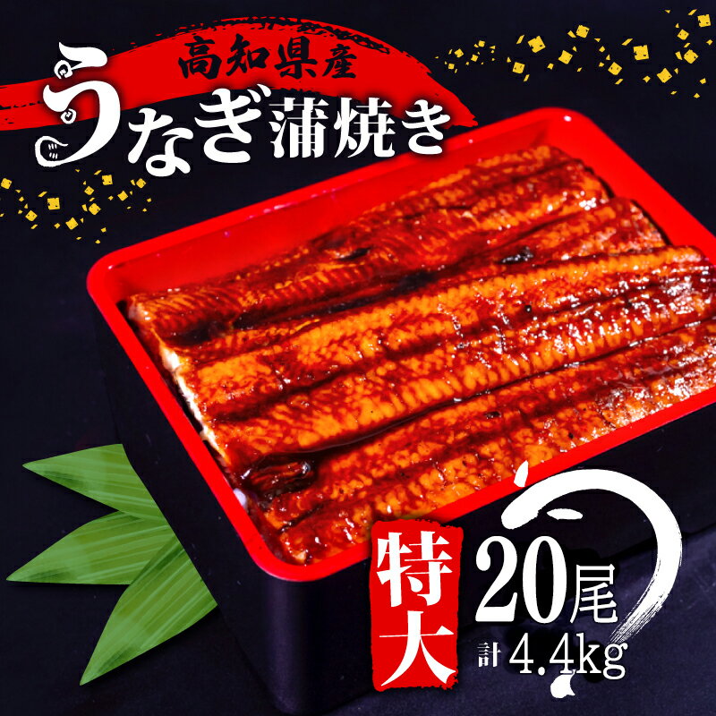 【ふるさと納税】 肉厚 うなぎ の 蒲焼き 220g × 20尾 自家製 タレ 20個 セット 頭付き 鰻 手焼き 蒲焼 タレ付き ふっくら 香ばしい うなぎ蒲焼き 鰻蒲焼 高知県産 国産 養殖鰻 養殖うなぎ 冷凍 惣菜 真空パック 温めるだけ 簡単調理 高知県 須崎市 ふるさと納税うなぎ